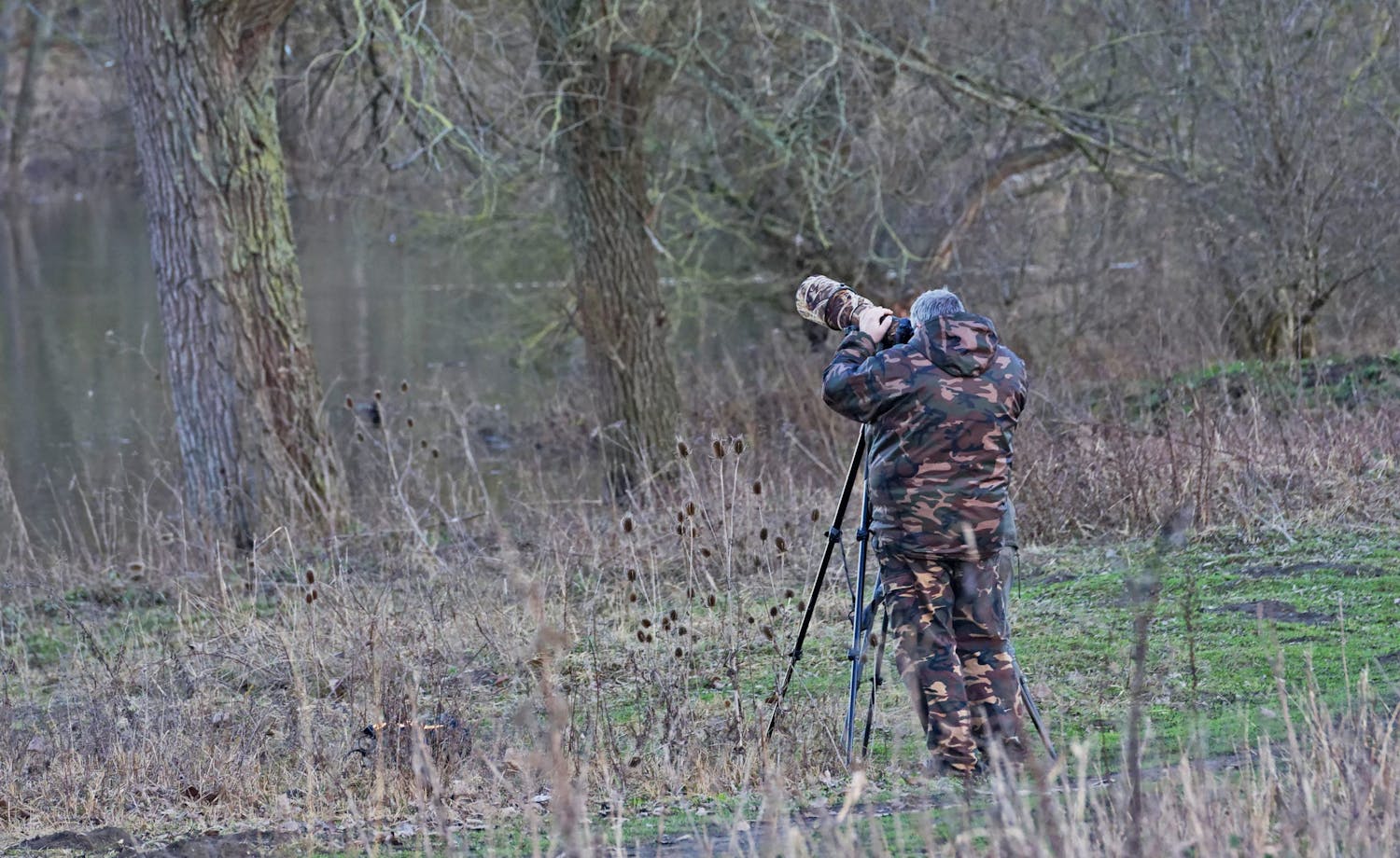 3 fugle der kommer på besøg i vinterhalvåret